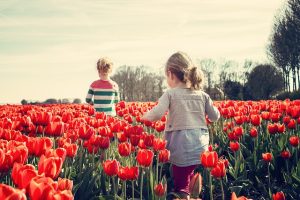 Curso Basico de Jardinagem 300x200 - Faça a diferença na vida de alguém. Dê um curso, uma solução, uma tranquilidade de presente.